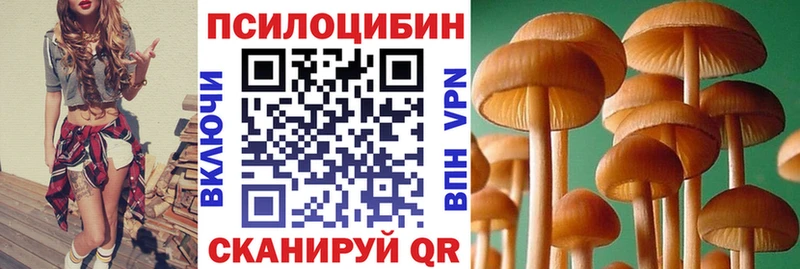 магазин  наркотиков  Калининец  кракен зеркало  Галлюциногенные грибы MAGIC MUSHROOMS 